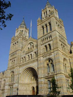 The Natural History Museum has been classed as one of the Seven Wonders of London by Time Out magazine.
